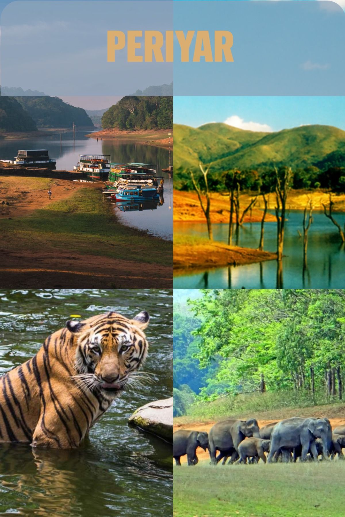 Periyar Tiger Reserve - Kerala